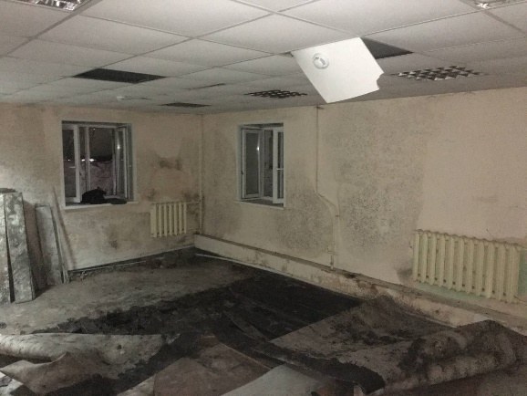 Обширное поражение стен и пола плесенью после длительного залива